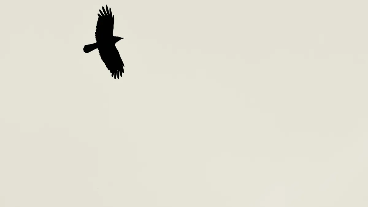 Your Grey Text is Illegal (Why Contrast Ratios Matter)